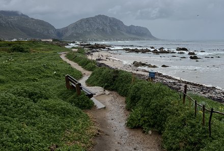 Familienreise Garden Route - Garden Route for family - Bettys Bay - Küstenabschnitt