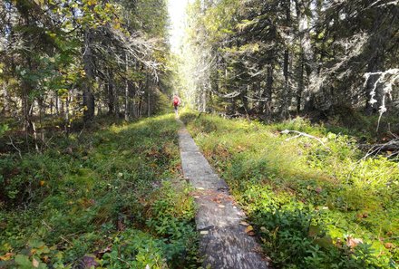 Finnland Familienreise - Finnland for family individuell - Letzte Wanderetappe