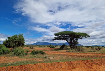 Kenia Familienreise - Kenia for family - Blick auf Landschaft im Tsavo Ost Nationalpark