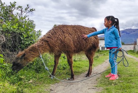 Familienreise mit Kindern- Galapagos for family - Ausflug Lamas