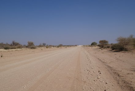 Namibia Familienurlaub - Namibia Family & Teens - Schotterstraße zum Etosha Nationalpark