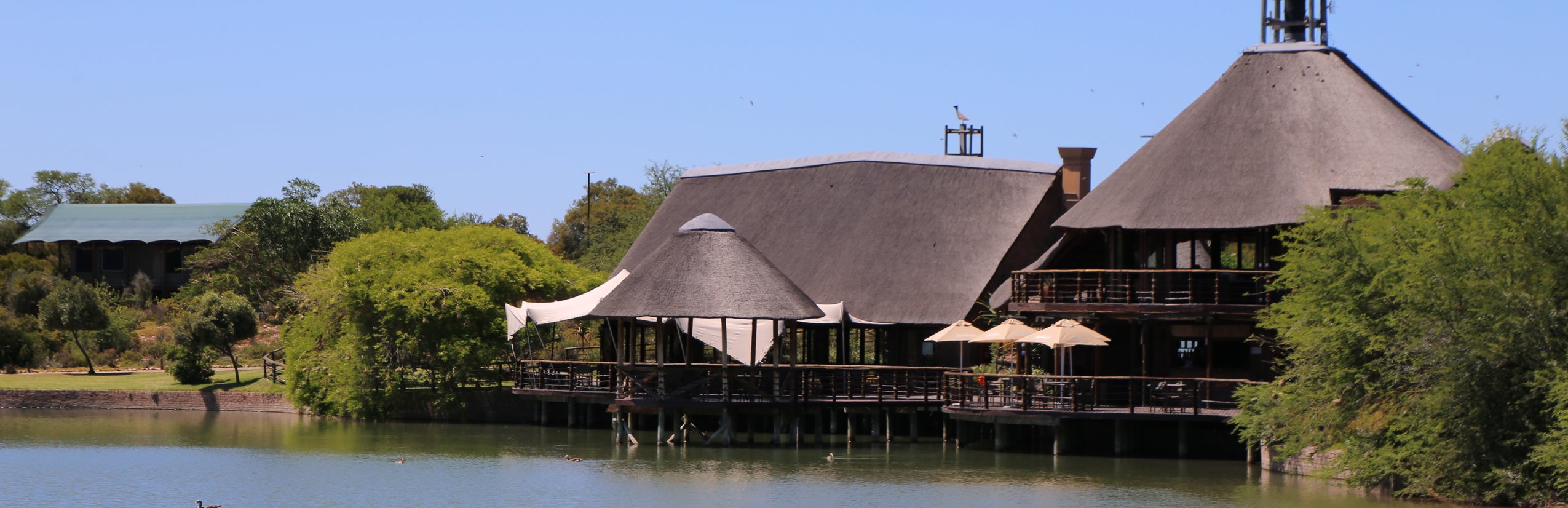 Südafrika Safari Lodges mit Kindern - Familienfreundliche Unterkünfte Garden Route - Buffelsdrift Game Lodge - Zelte 
