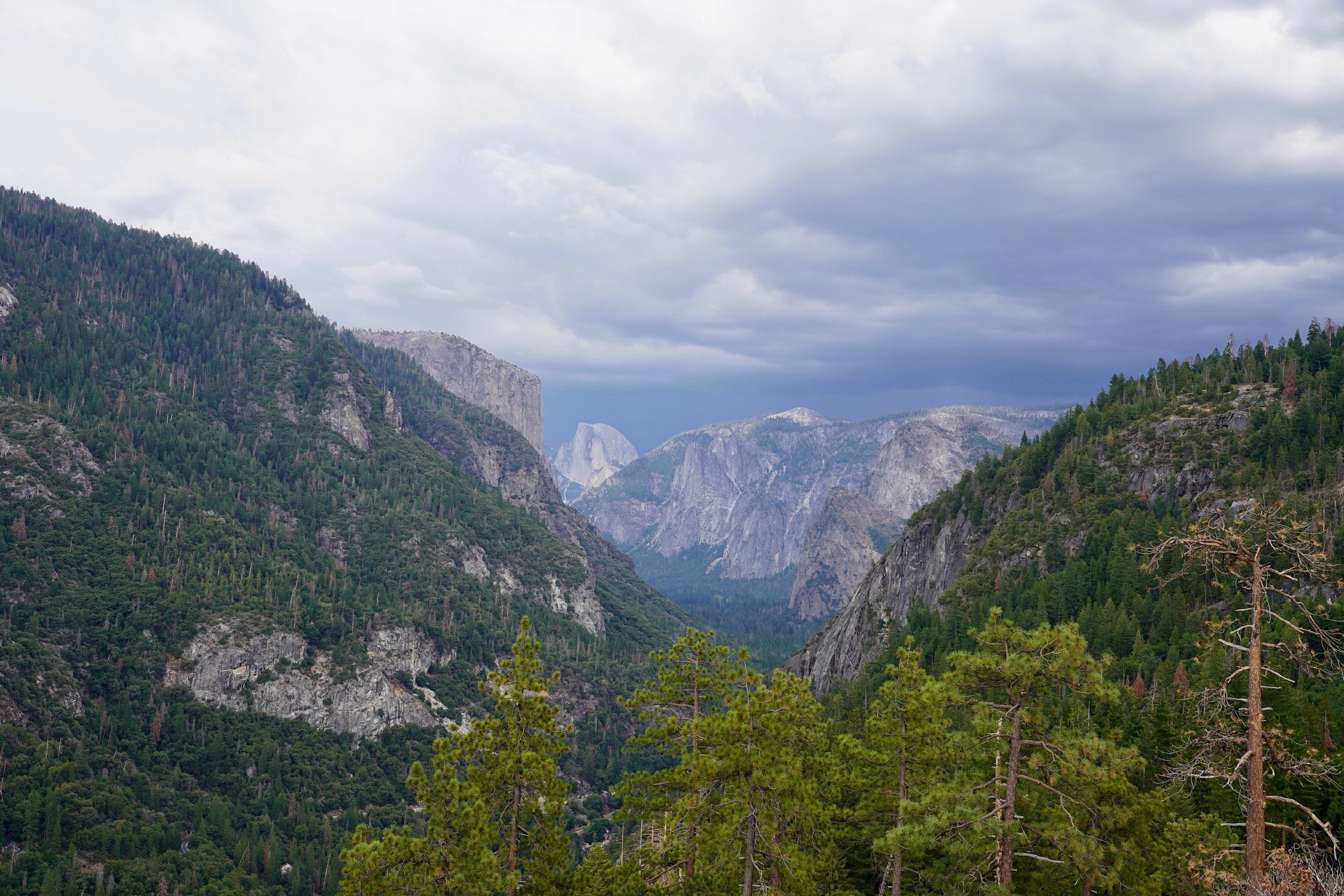 USA Reise mit Kindern Erfahrungen und Tipps - beste Reisezeit - Yosemite Nationalpark