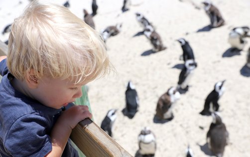 Astrid Därr - Journalistin - Garden Route - Kind bei Pinguinen 