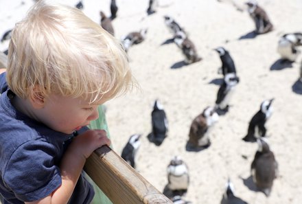Südafrika mit Kindern - Südafrika Reise mit Kindern - Kind bei Pinguinen