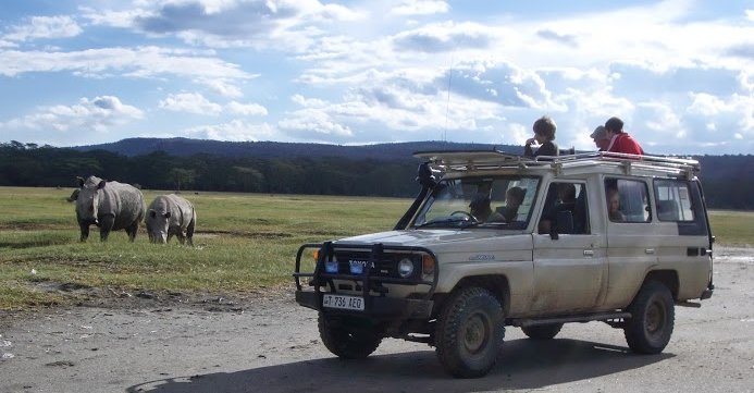 Individuelle Familienreisen - Afrika mit Kindern - Tierbeobachtungen aus dem Jeep