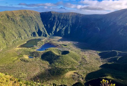 Azoren Family & Teens - Faial Island - Grüne Wälder