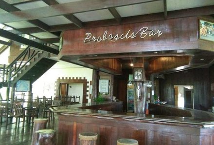 Malaysia Family & Teens - Proboscis Lodge Bukit Melapi - Bar