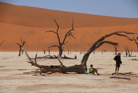 Namibia Familienreise im Mietwagen - Dead Vlei