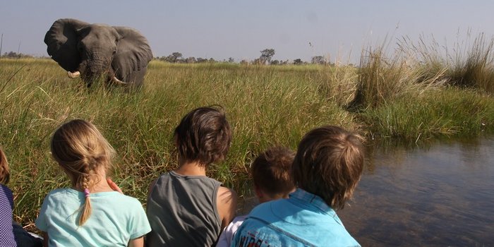 For Family Reisen Zweigstelle - Tierbeobachtungen - Kinder beobachten Elefant in Botswana