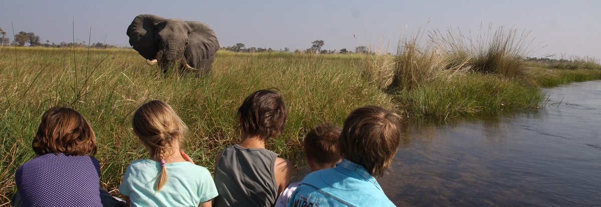 For Family Reisen Zweigstelle - Tierbeobachtungen - Reisen in Botswana