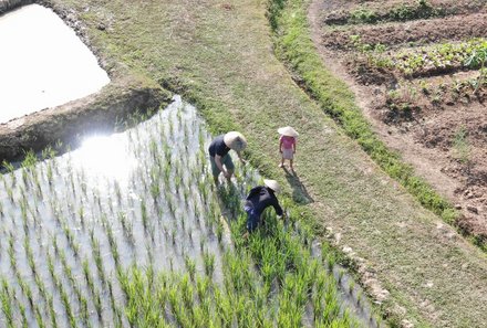 Laos und Vietnam Familienreise - Laos und Vietnam Reise mit Kindern - Living Land Farm Reisabbau