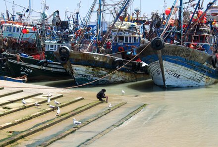 Marokko for family Summer - Essaouira - Hafen Essaouira