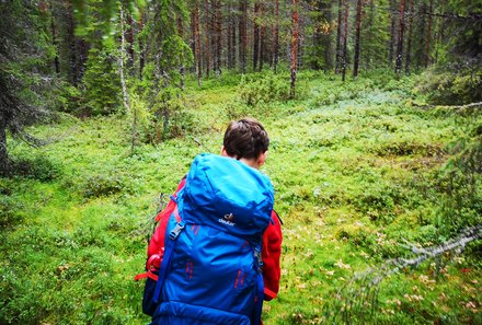 Schweden Familienreise - Schweden for family - Polarkreis - Wanderung