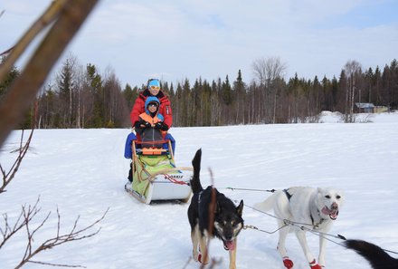 Schweden for family Winter - Hundeschlittentour - Familie mit Huskys