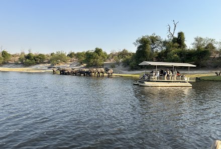 Safari Afrika mit Kindern - Safari Urlaub mit Kindern - beste Safari-Gebiete - Chobe Nationalpark - Boote am Flussufer