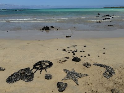 Galapagos for family - Familienreise Galapagos - Strand auf Galapagos Galapagos for family - Familienreise Galapagos - Strand auf Galapagos