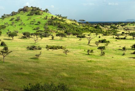 Tansania Familienreise - Tansania Family & Teens individuell - Serengeti - grüne Landschaft