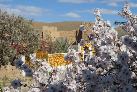 Marokko Rundreise für Familien - Erfahrungsbericht Marokko mit Teens - Landschaft und alte Gebäuden in Marokko