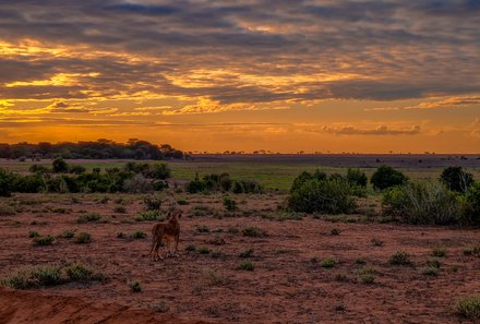 Kenia Familienreise - Kenia Family & Teens - Pirschfahrt im Tsavo Ost Nationalpark - Landschaft bei Sonnenaufgang