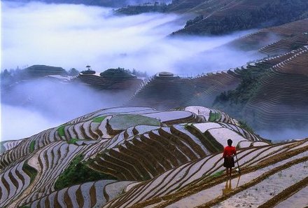 Familienreise China - China for family - Reisterrassen