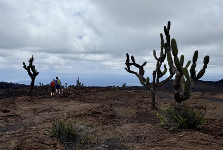 Familienreise Galapagos und Ecuador - Galapagos Family & Teens - Kakteen