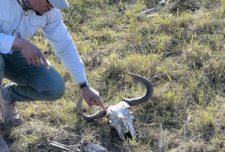 Südafrika mit Kindern - Südafrika Reise mit Kindern - Kariega Game Drive - Guide mit Geweih