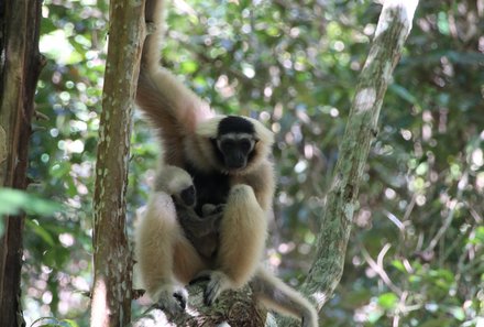 Vietnam Familienreise - Vietnam for family Summer - Besuch eines Primatenschutzprojekts