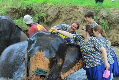 Thailand Family & Teens - Familienreise Thailand - Elefanten waschen Thailand Family & Teens - Familienreise Thailand - Elefanten waschen