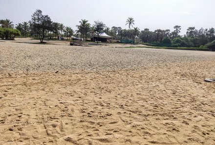 Indien mit Kindern - The Zuri White Sands Goa Resort - Spuren am Strand