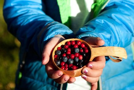 Schweden for family - Schweden Sommer - Kinder sammeln Beeren