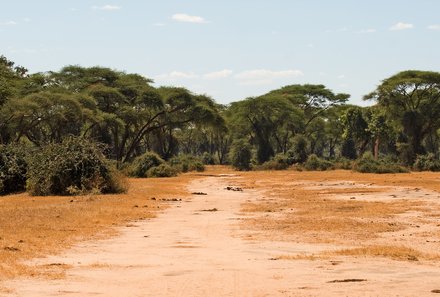 Botswana Familienreise - Botswana FIT - Hwange Landschaft