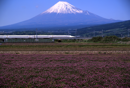 Japan mit Kindern - Japan for family - Shinkansen