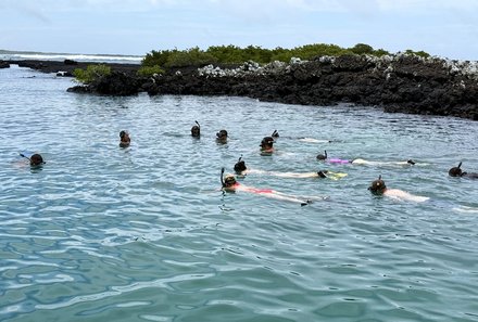 Familienreise Galapagos und Ecuador - Galapagos Family & Teens - Gruppe schnorchelt