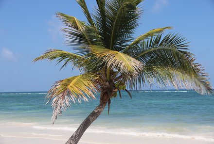 Mexiko Familienreise - Tulum - Strand, Palme und Meer