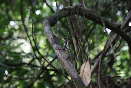 Thailand mit Kindern - Khao Sok Nationalpark