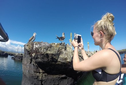 Galapagos Familienreise - Galapagos for family individuell - Los Tuneles fotografieren