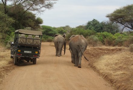 Serengeti mit Kindern individuell - Best of Familiensafari Serengeti - Safari