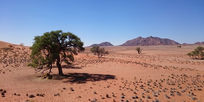 Namibia mit Kindern - Namibia Familienurlaub - Wüste