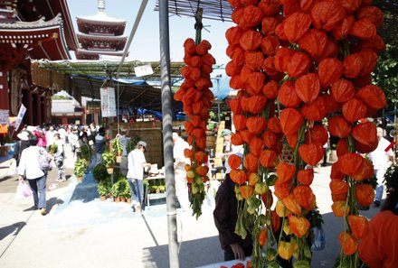 Japan mit Kindern - Japan for Family - Hozuki Market