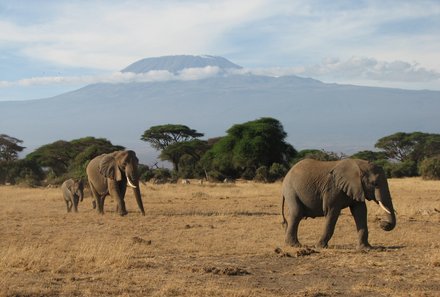 Kenia Familienreise - Kenia for family - Safari