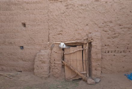 Marokko mit Kinder - Ziege in der Wüste