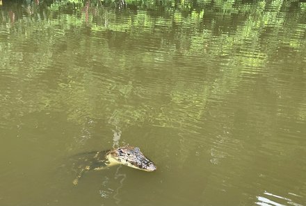Peru Familienreise - Peru Teens on Tour - Amazonas - Verlängerung - Krokodil