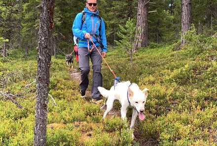 Schweden for family - Husky Farm - Spazieren mit Husky