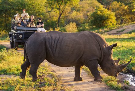 Südafrika Familienreise - Südafrika Family & Teens - Krüger Nationalpark