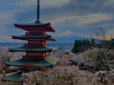 Feedback JPFFAL April 2023 - Japan for family in den Osterferien