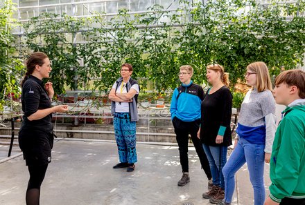 Island Familienreise - Island for family - Führung durch das Tomatenhaus