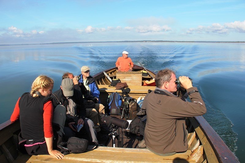Familienurlaub Estland - Familienurlaub Baltikum - Bootsfahrt mit Reiseleitung