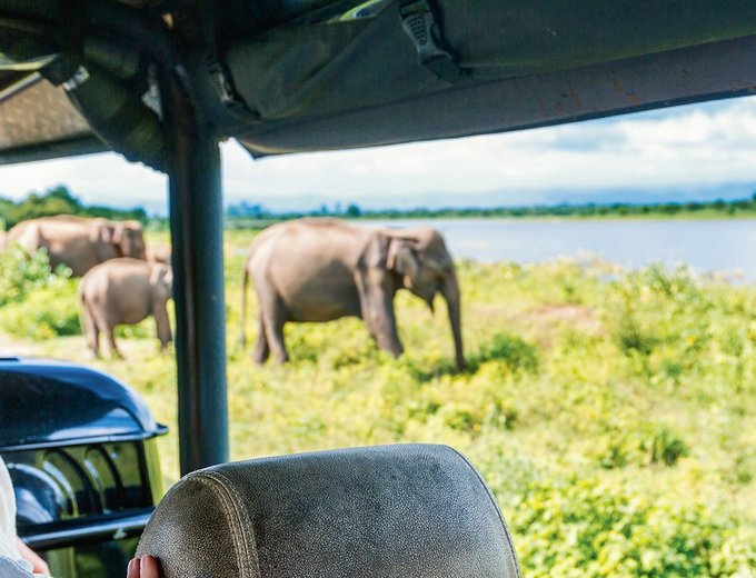 Familienreise Sri Lanka - Sri Lanka mit Kindern - Jeep Safari