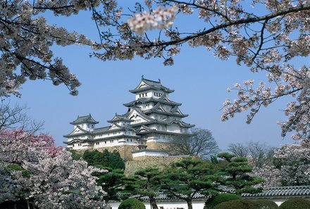 Japan mit Kindern - Japan for family - Himeji